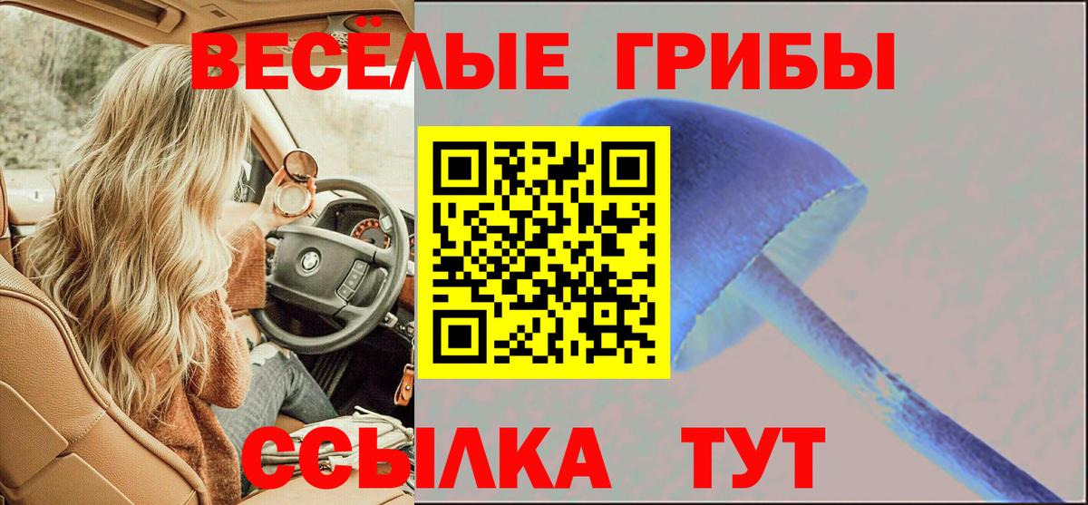 Псилоцибиновые грибы MAGIC MUSHROOMS Черногорск